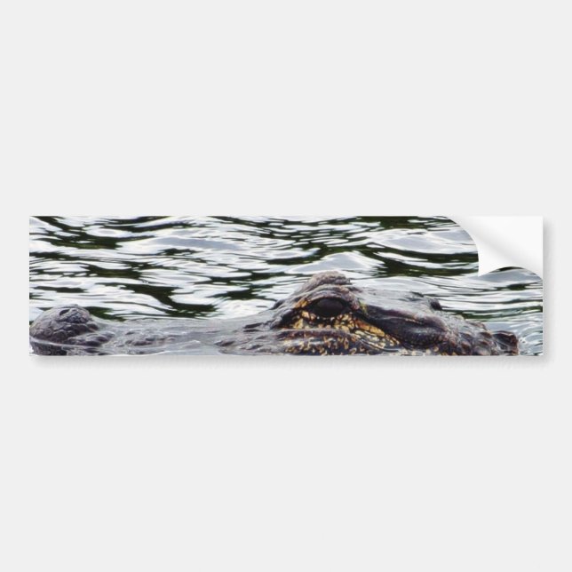 Autocollant De Voiture Alligators (Devant)