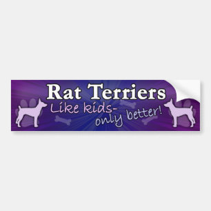 Autocollant De Voiture Améliorez que le Rat terrier d'enfants