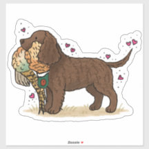 Autocollant de voiture American Water Spaniel