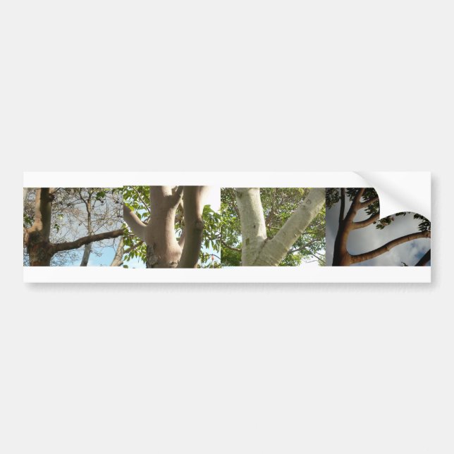 Autocollant De Voiture AMOUR, défini par des arbres (Devant)