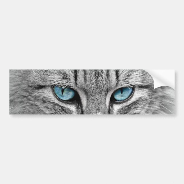 Autocollant De Voiture Animal de compagnie bleu de yeux verts de long (Devant)