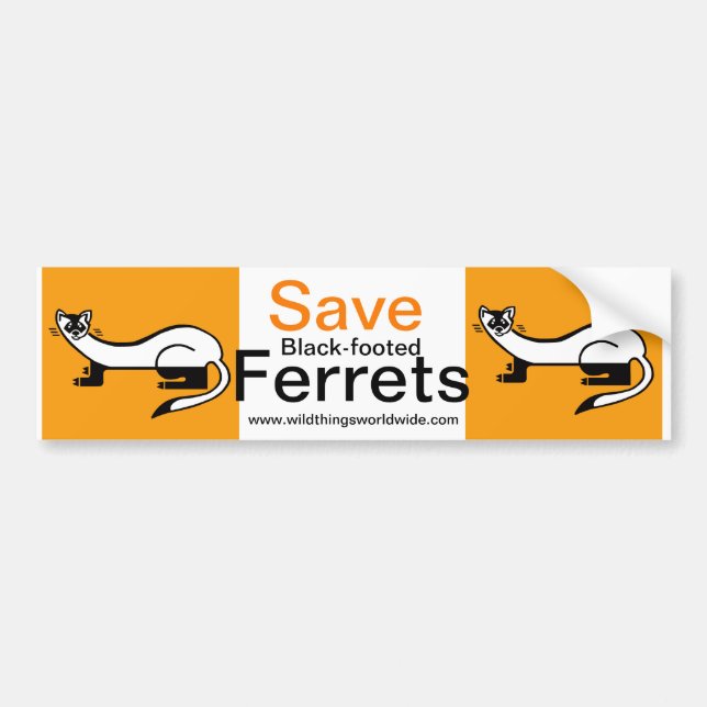 Autocollant De Voiture Animal en voie de disparition - Sauvez les FERRETS (Devant)