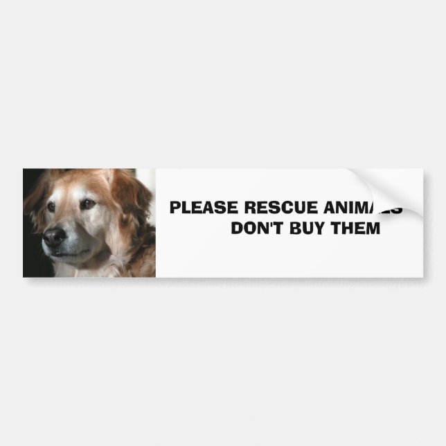 Autocollant De Voiture Animaux       … (Devant)