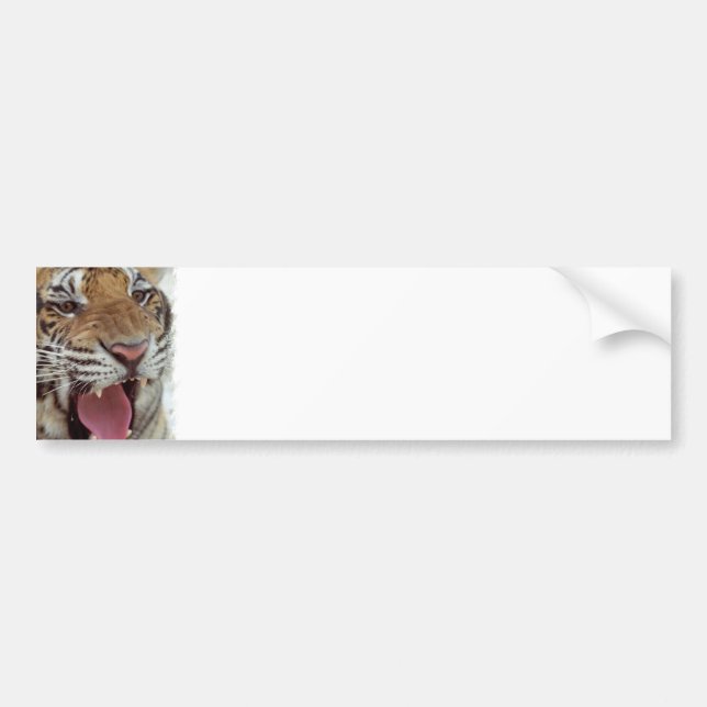 Autocollant De Voiture Année de l'adhésif pour pare-chocs de tigre (Devant)
