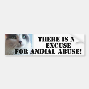 Autocollant De Voiture Anti abus animal Kitty triste