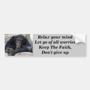 Autocollant De Voiture Any Occasions_