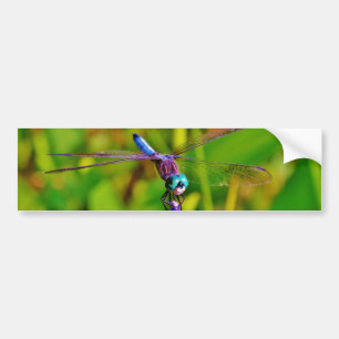 Autocollant De Voiture Arc en ciel libellule et fleur