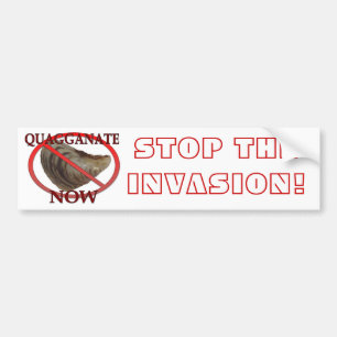 Autocollant De Voiture Arrêtez l'invasion