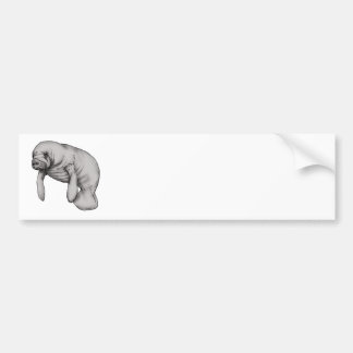 Autocollant De Voiture art manatee
