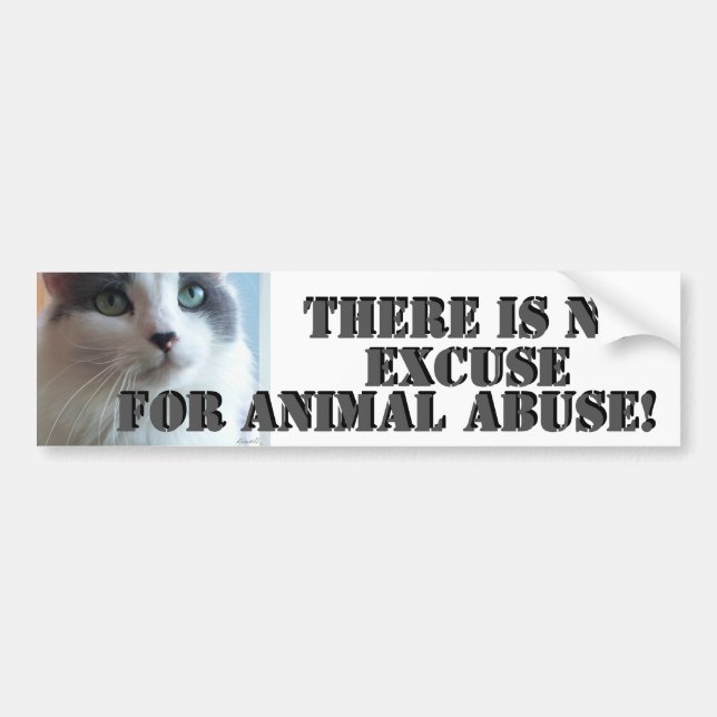 Autocollant De Voiture Aucun abus animal Kitty triste (Devant)