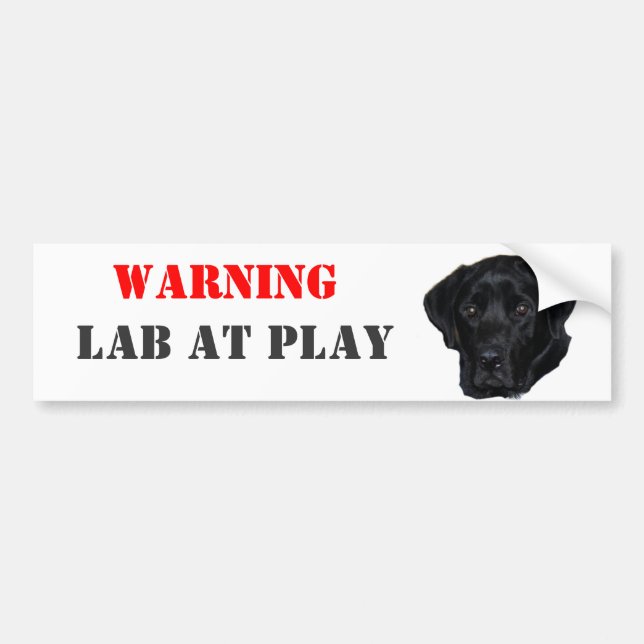 Autocollant De Voiture AVERTISSEMENT, laboratoire au jeu (Devant)