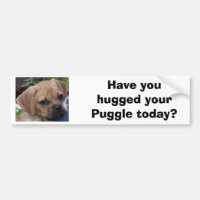 Avez-vous étreint votre Puggle aujourd'hui ?