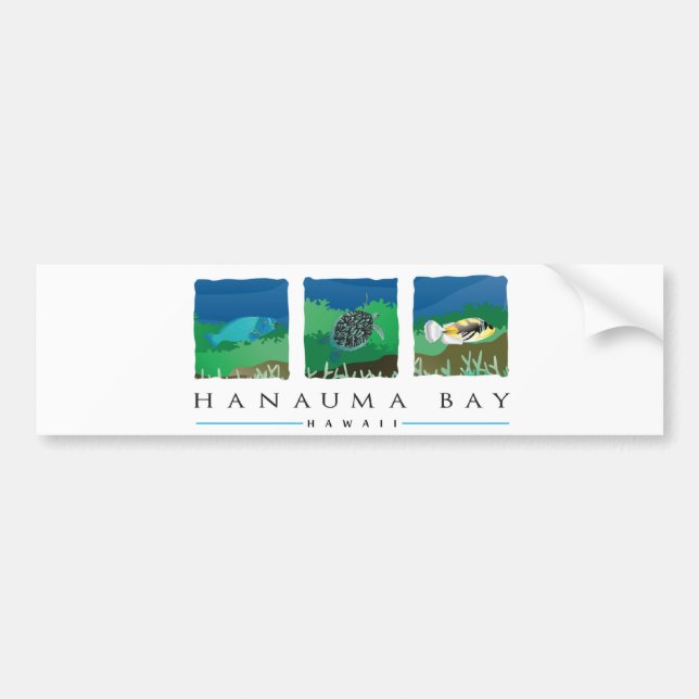 Autocollant De Voiture Baie Hawaii Hanauma (Devant)