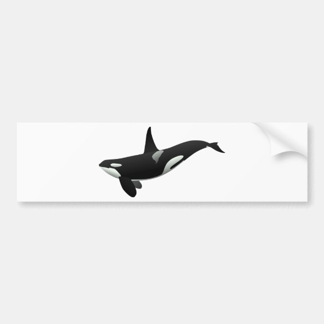 Autocollant De Voiture Baleine noire et blanche tueuse à Orca (Devant)