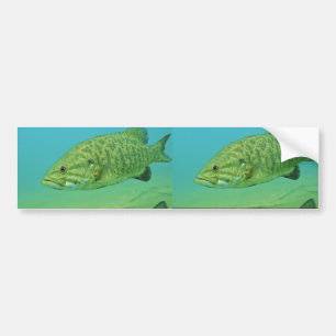 Autocollant De Voiture Basse de Smallmouth