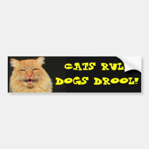 Autocollant De Voiture Bave de chiens de règle de chats