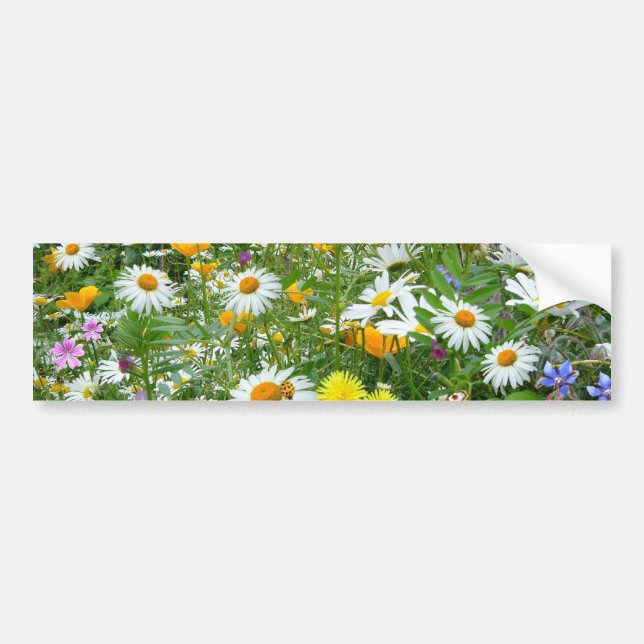 Autocollant De Voiture Beau pré de fleur sauvage et de papillon (Devant)