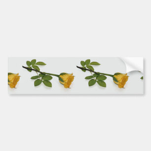 Autocollant De Voiture Beau rose jaune