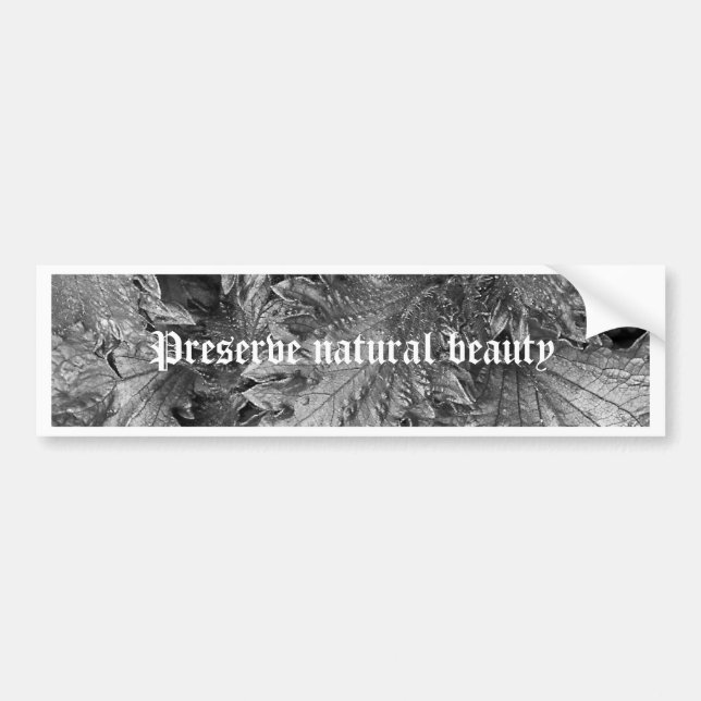 Autocollant De Voiture Beauté argentée (Devant)