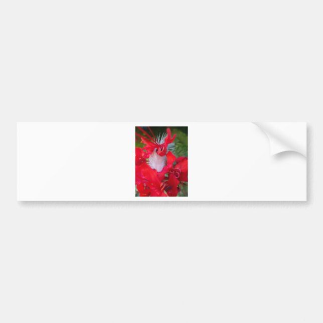 Autocollant De Voiture Beauté délicate : Fleur rouge avec plumes blanches (Devant)