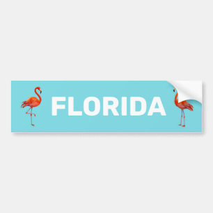 Autocollant De Voiture Beaux flamants de Floride sur fond bleu clair