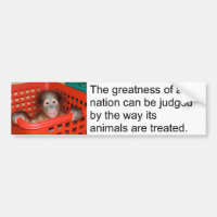 Bébé mignon de citation animale de Gandhi