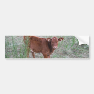 Autocollant De Voiture Bébé vache Brown.