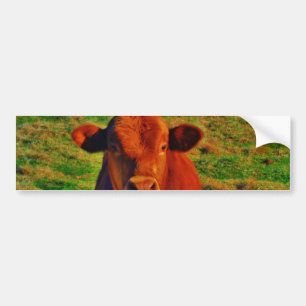 AUTOCOLLANT DE VOITURE BÉBÉ VACHE BROWN MANGER