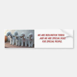 Autocollant De Voiture Bedlingtons et Special