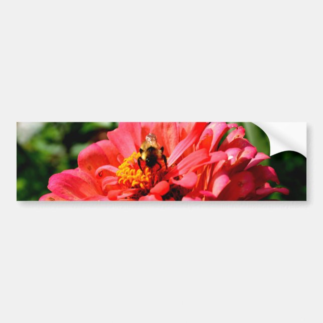 Autocollant De Voiture Bee and coral zinnia (Devant)