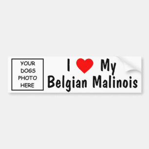Autocollant De Voiture Belge Malinois
