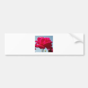 Autocollant De Voiture Belle belle Rose céleste rouge contre bleu