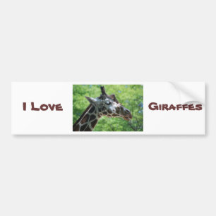 Autocollant De Voiture Belle Girafe
