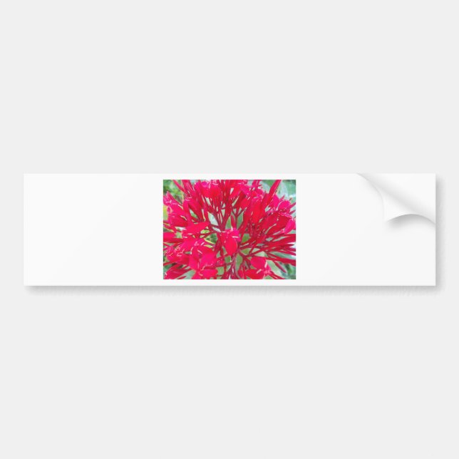Autocollant De Voiture Belles fleurs rouges superbes (Devant)