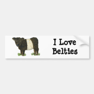 Autocollant De Voiture "Beltie" Galloway ceinturé