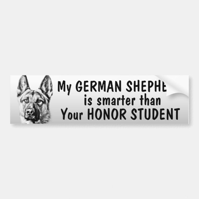 Autocollant De Voiture Berger allemand - plus futé que l'étudiant - drôle (Devant)