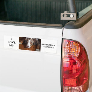 Autocollant De Voiture berger australien merle rouge pondre plat
