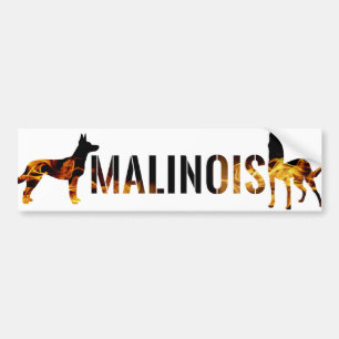 Autocollant De Voiture Berger belge - adhésif pour pare-chocs de Malinois