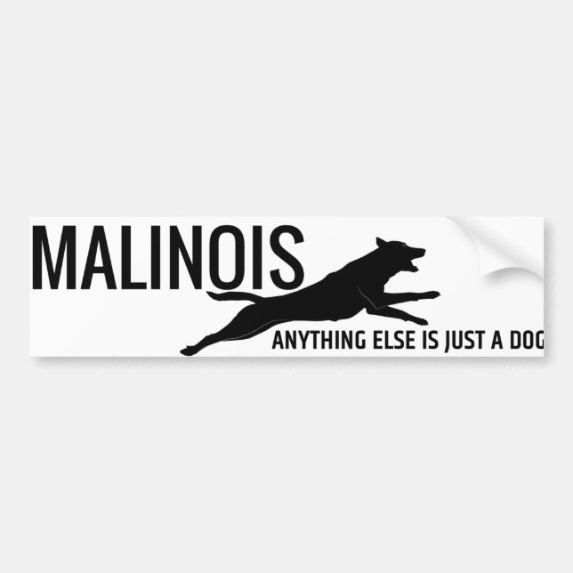 Autocollant De Voiture Berger belge - adhésif pour pare-chocs de Malinois (Devant)