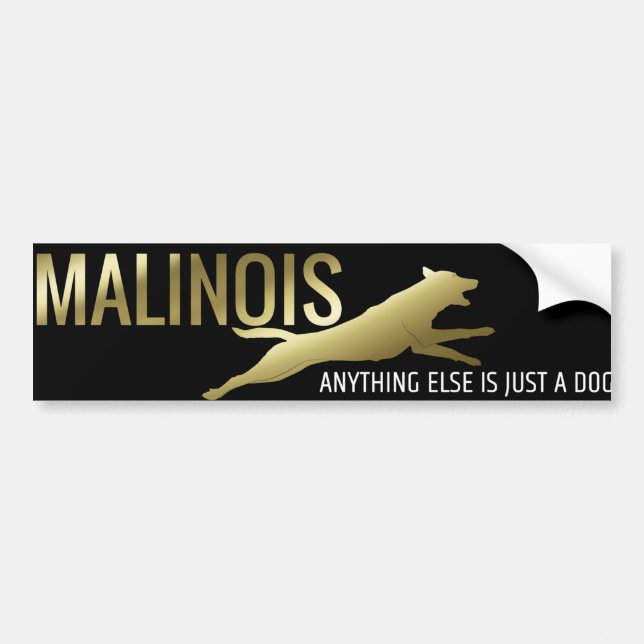 Autocollant De Voiture Berger belge - adhésif pour pare-chocs de Malinois (Devant)