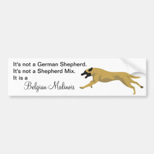 Autocollant De Voiture Berger non allemand de Malinois