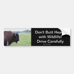Autocollant De Voiture Bison de Buffalo des Plaines Américaines