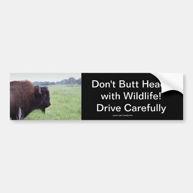 Autocollant De Voiture Bison de Buffalo des Plaines Américaines (Devant)
