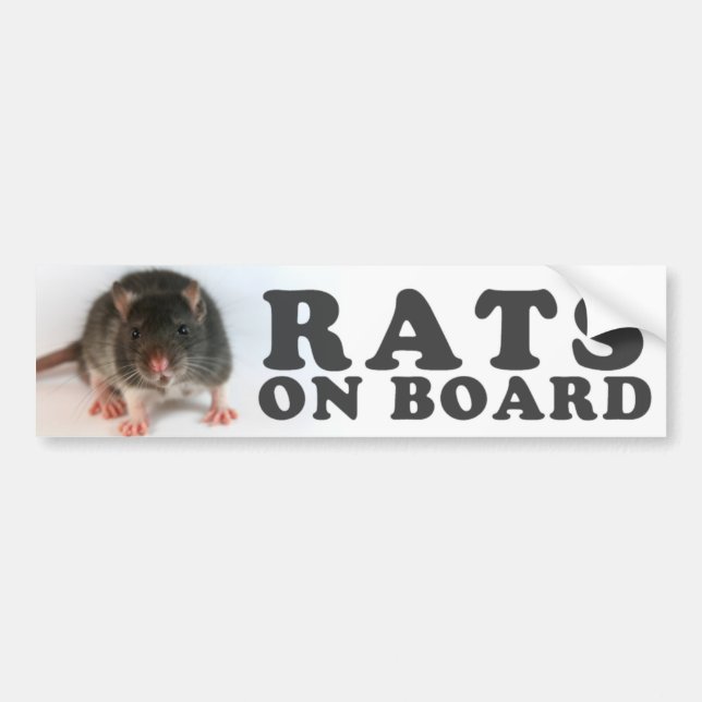 Autocollant De Voiture (Black) Rats on board (Devant)