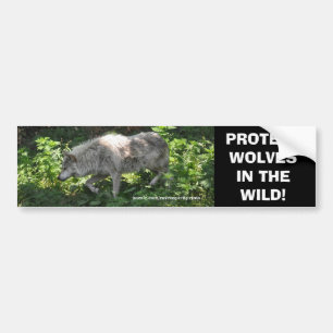 Autocollant De Voiture BLANC WOLF Wildlife Conservation Bumper sticker