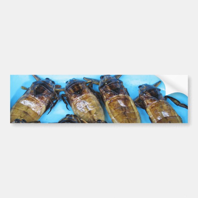 Autocollant De Voiture Bogue d'eau géante frite (Maeng Daa) ... Alimentat (Devant)