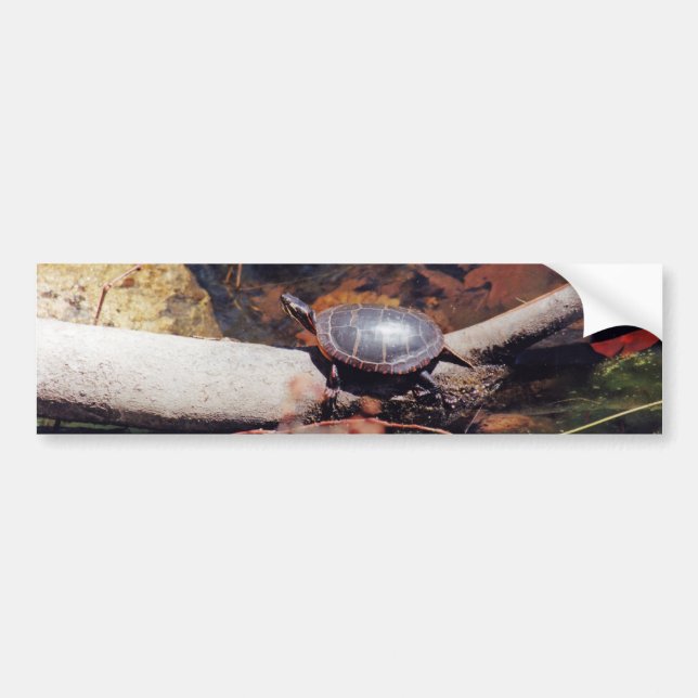 Autocollant De Voiture Bonne tortue (Devant)