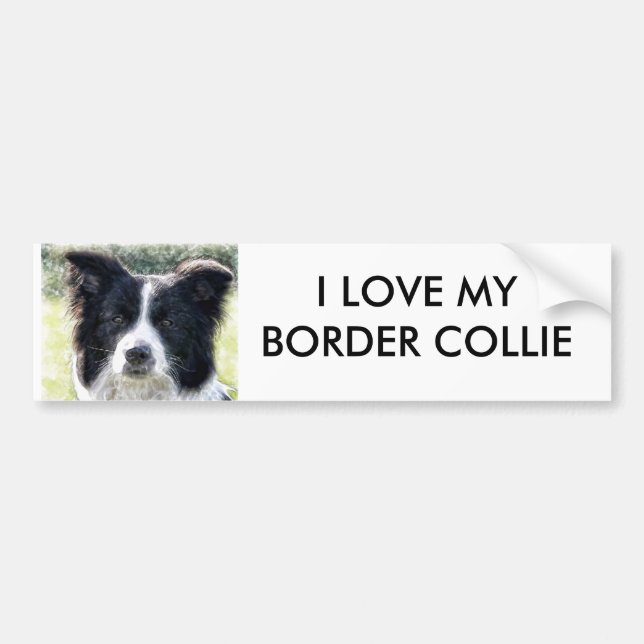 Autocollant De Voiture Border collie (Devant)