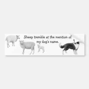 Autocollant De Voiture Border collie et moutons vivant en troupe