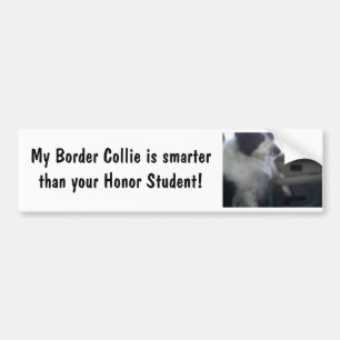 Autocollant De Voiture Border collie futé